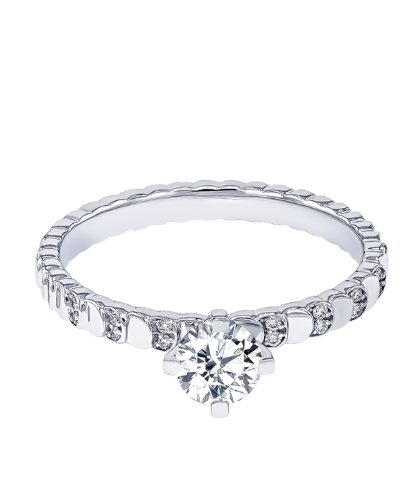 Signature Design 0 5 Carat Round Brilliant Diamond Engagment Ring Discs Diamond Studded Band