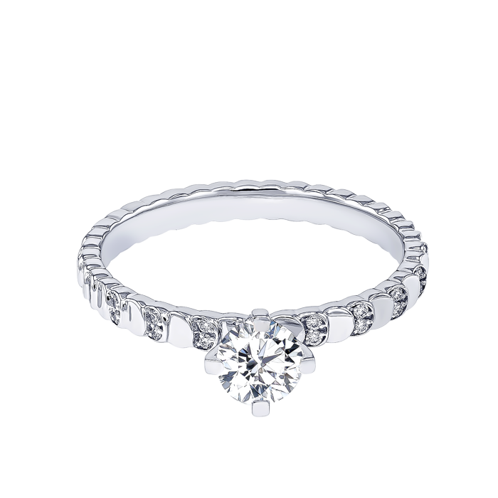 Signature Design 0 5 Carat Round Brilliant Diamond Engagment Ring Discs Diamond Studded Band