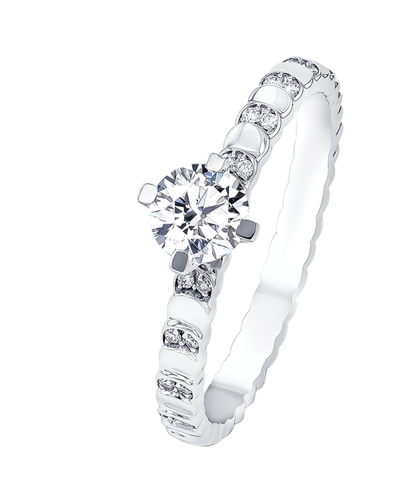 Signature Design 0 5 Carat Round Brilliant Diamond Engagment Ring Discs Diamond Studded Band