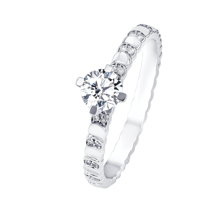 Signature Design 0 5 Carat Round Brilliant Diamond Engagment Ring Discs Diamond Studded Band