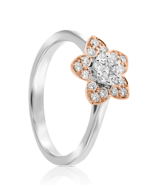 Heart To Heart Star Flower Ring White And Rose Gold