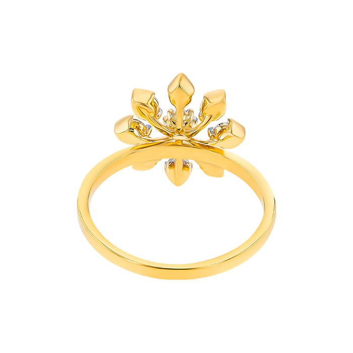 Nakshatra Diamond Ring In 18K Gold