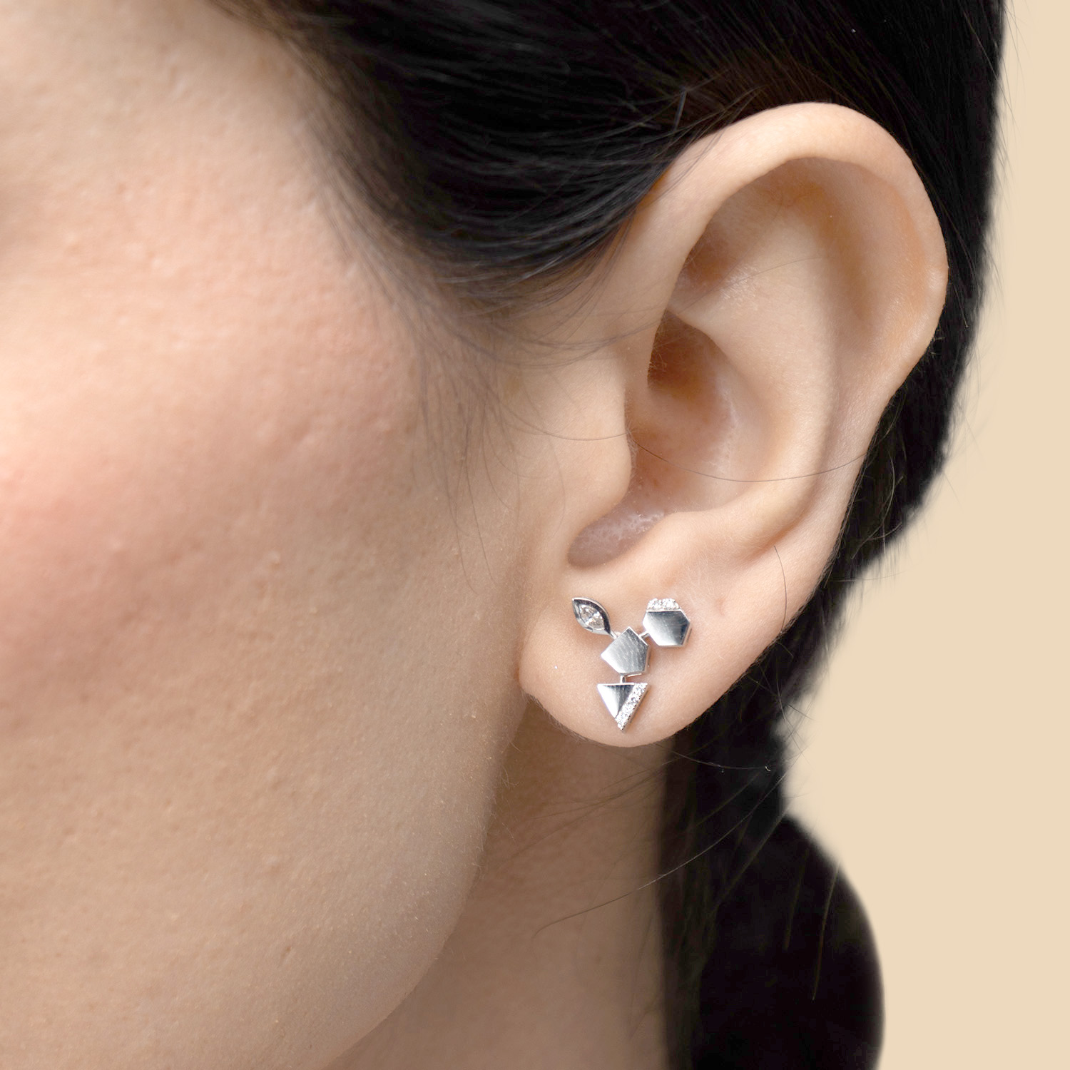 Glacial Earring In 18k White Gold Studded With Diamonds